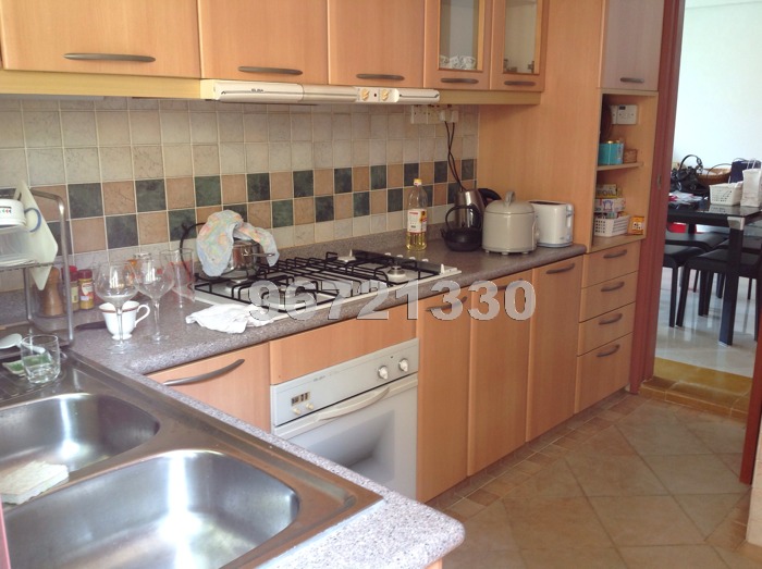 Emerald Garden thumbnail photo